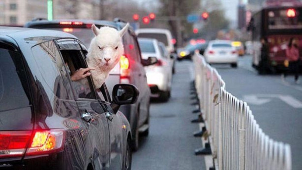 Foto - Çin yollarından sıra dışı manzaralar
