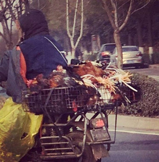Foto - Çin yollarından sıra dışı manzaralar