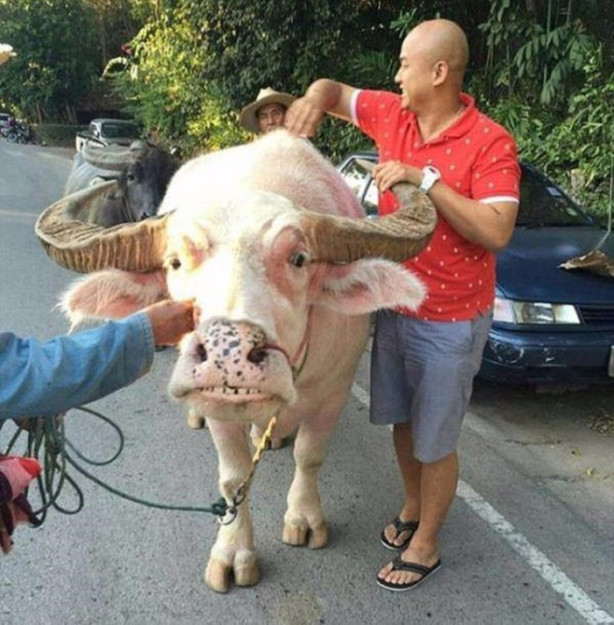 Foto - Çin yollarından sıra dışı manzaralar