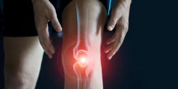 Foto - Çınar yaprağı kaynatıp içerseniz! Diz ağrısına şifa, kemik erimesine ilaç oluyor