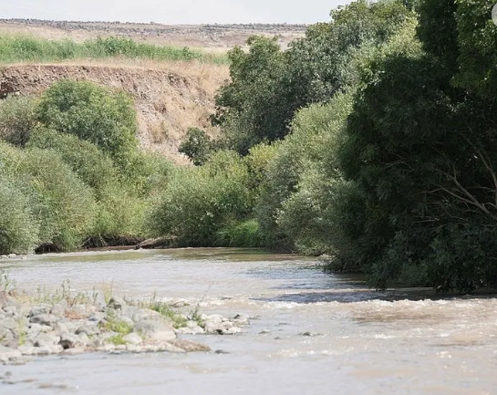 Foto - Cinayetin sır anahtarı o battaniye