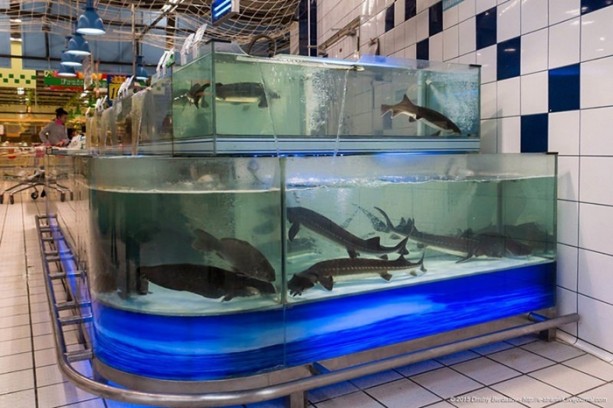 Foto - Çin'de bir süpermarket turu 