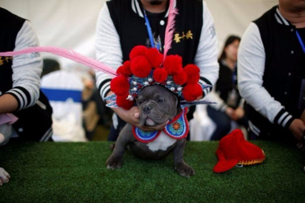 Foto - Çin'de hayatı anlatan kareler...