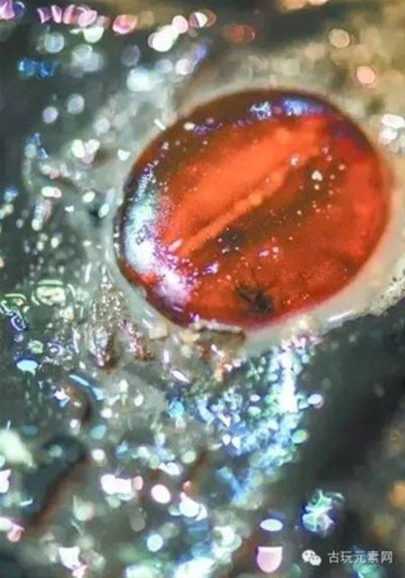 Foto - Çin’de ortaya çıkarılanlar şoke etti! Bakın hangi devlete ait