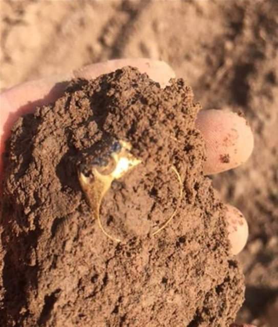 Foto - Çin’de ortaya çıkarılanlar şoke etti! Bakın hangi devlete ait