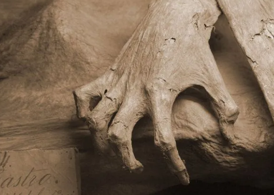 Foto - Çin’de ortaya çıkarılanlar şoke etti! Bakın hangi devlete ait