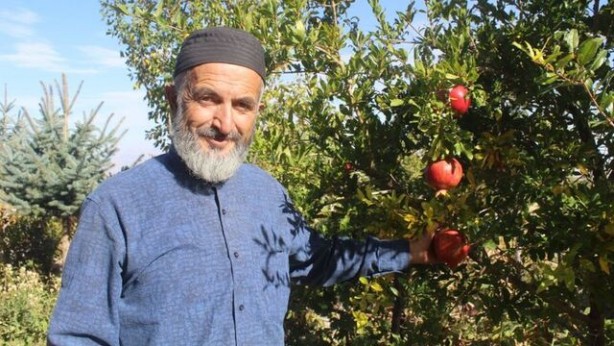 Foto - Çin’den 25 yıl önce getirdiği tohumla yaptı! Gören, şaşkına dönüyor! Herkes tarlayı coşturan o tohumun peşinde