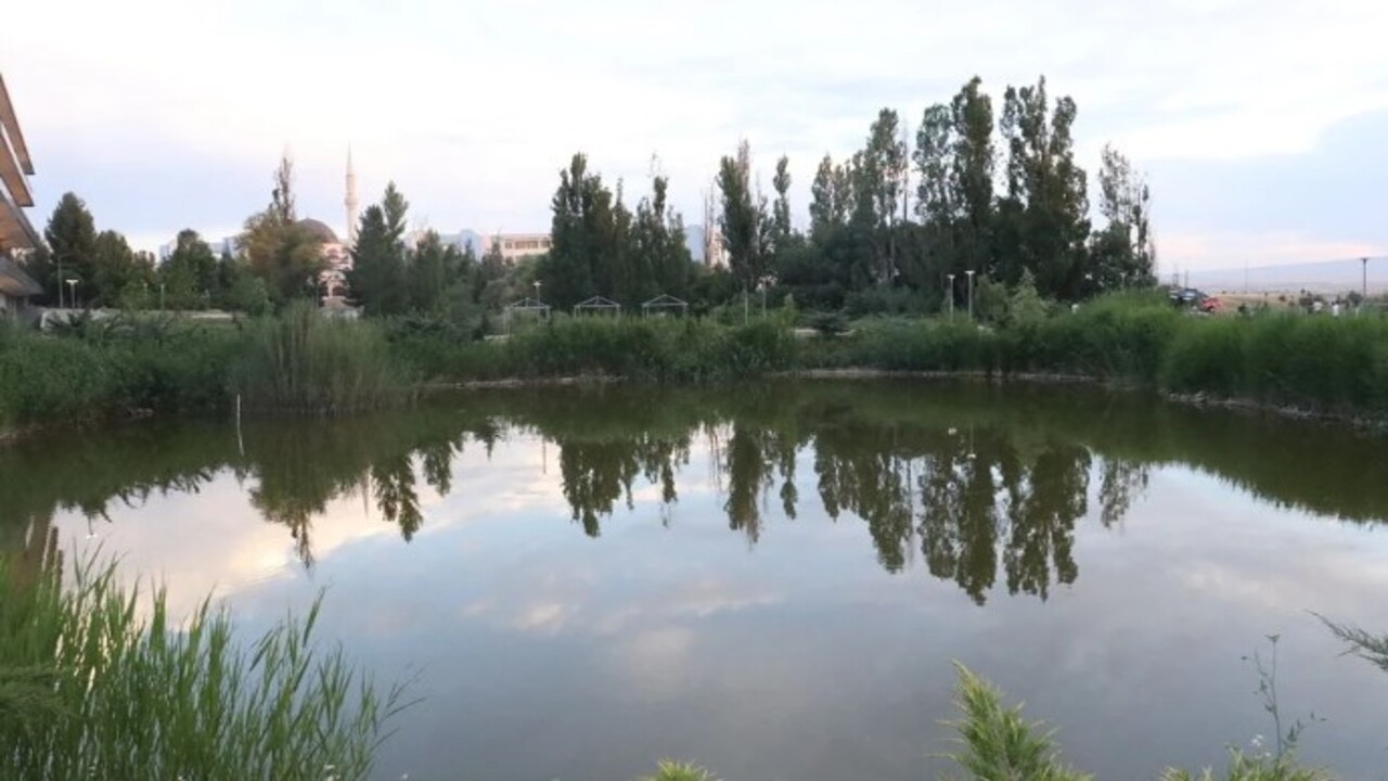 Foto - Çin’den gelen kargo gemileriyle dağıldılar! Bilim insanları göçmen sıçanlar için o ilimize geldi
