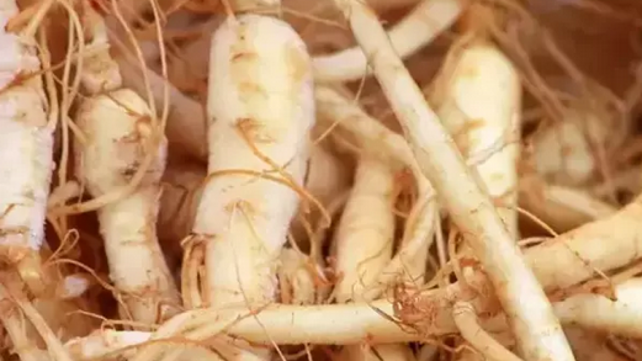 Foto - Enerji depolarını fullüyor, buruş buruş damarları saniyesinde genişletiyor!