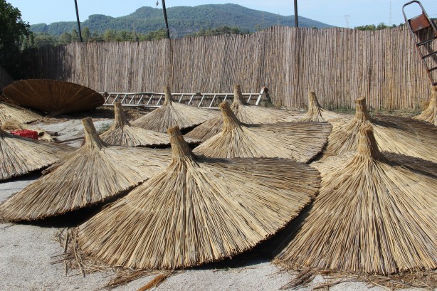 Foto - Çin'den vazgeçip Türkiye'yi seçtiler! O şehrimize dolar yağıyor