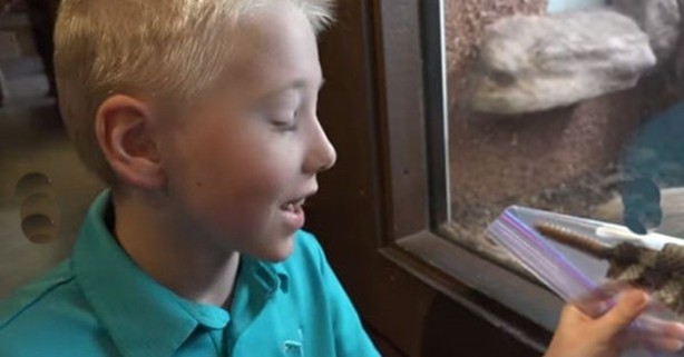 Foto - Çıngıraklı yılanın kuyruğunu açtılar!