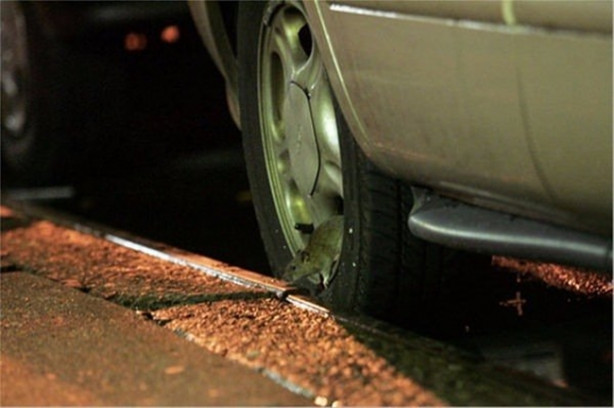 Foto - Çin'in bilinmeyen yüzü! Çok tuhaf!