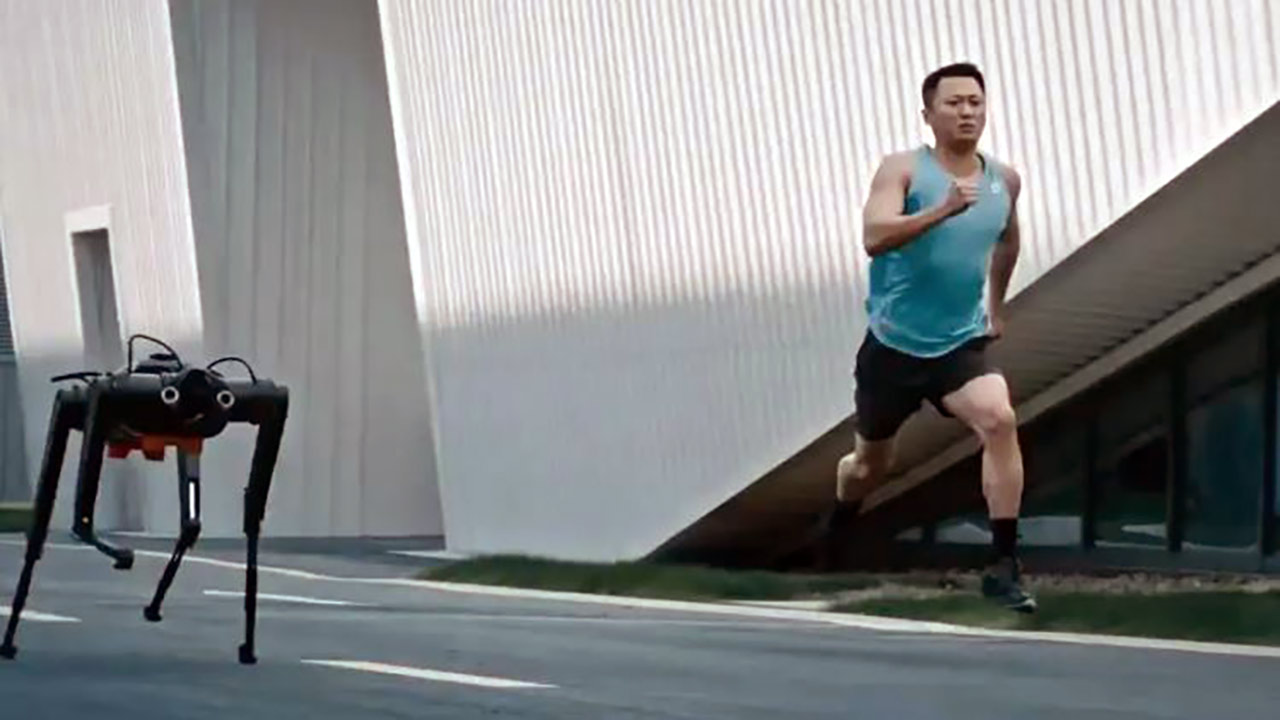 Foto - Çin'in robot köpeği ABD'nin köpeğini parçalar