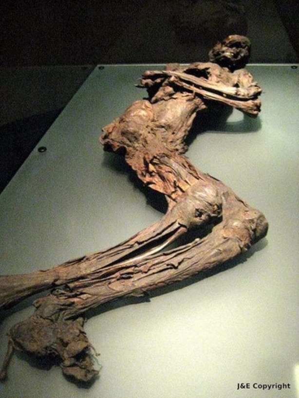 Foto - Çinli kralın 2000 yıllık hazinesi