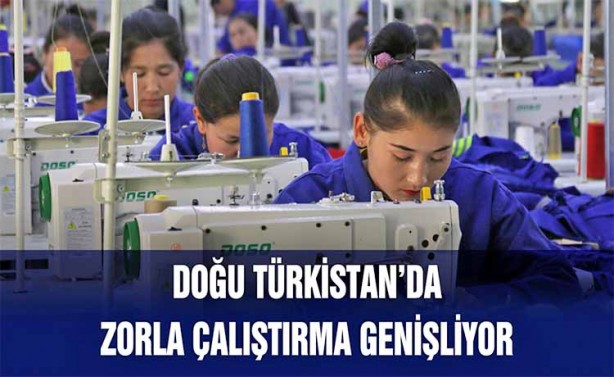 Foto - Çinliler, Müslümanların evlerine zorla giriyor... Mahremiyetin sıfır noktası: Doğu Türkistan... Dayak, cinsel şiddet ve tecavüze uğruyorlar
