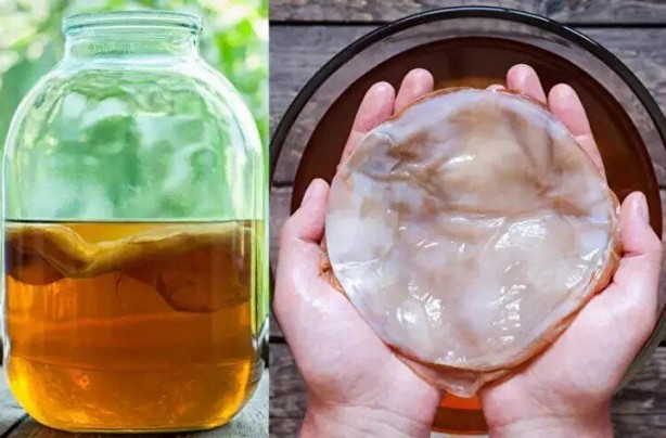 Foto - Çinliler onu uzun yaşamak için kullanıyor: Zihni yenilediği ispatlandı! Günde 1 bardak içmek yetiyor