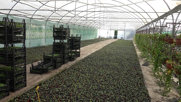 Foto - Ciroyu duyan kulaklarına inanamıyor! Lise değil sanki darphane