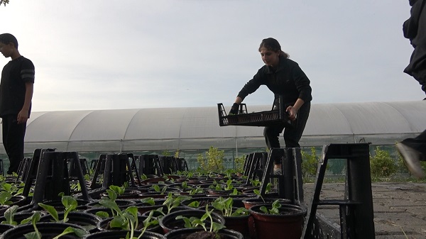 Foto - Ciroyu duyan kulaklarına inanamıyor! Lise değil sanki darphane