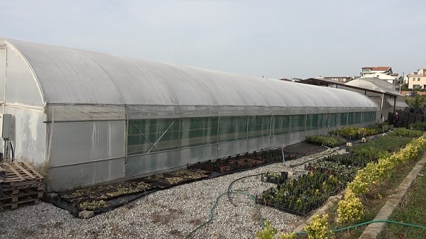 Foto - Ciroyu duyan kulaklarına inanamıyor! Lise değil sanki darphane