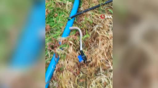 Foto - Çitçinin  tıkanan su borusundan yılan çıktı