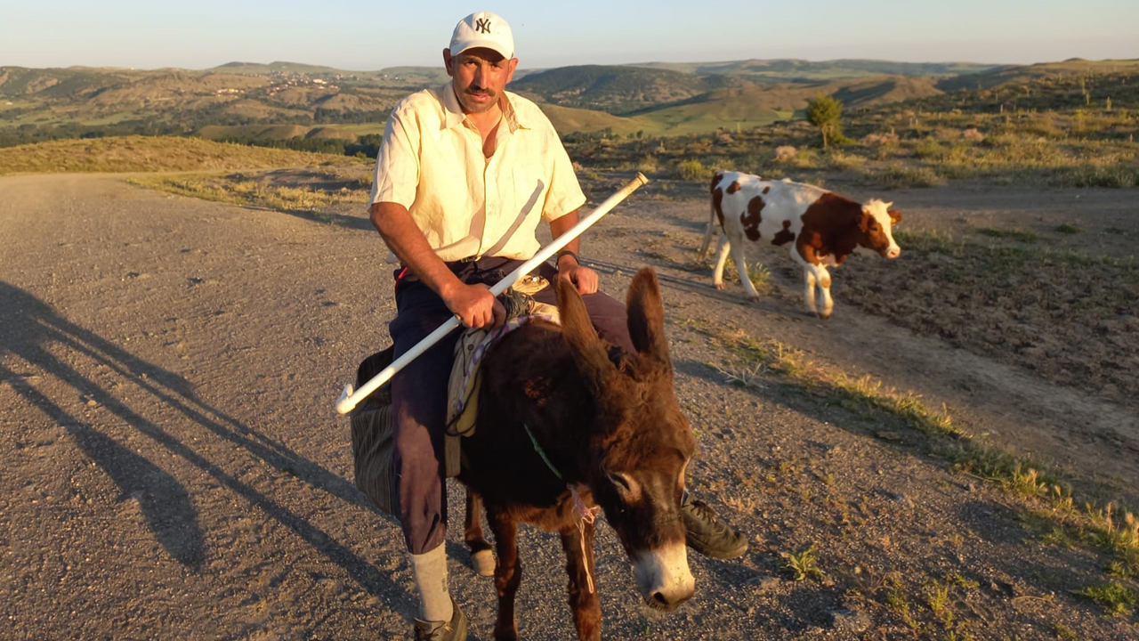 Foto - Çobanlık kıymete bindi! 80 bin TL maaş, konaklayacak ev, üç öğün yemek he bir de sınırsız internet!