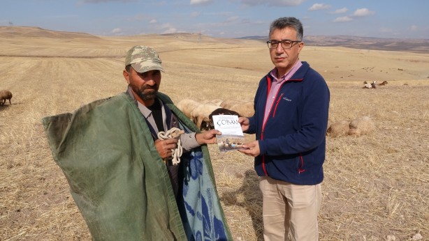Foto - Çobanlık mesleği ileri taşınacak! Resmen çıkardı