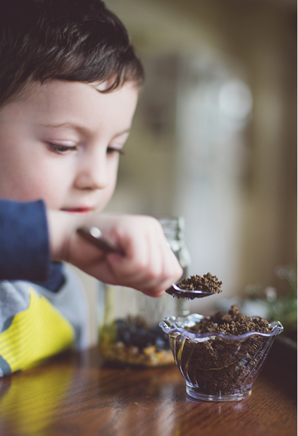 Foto - Çocuğunuz için eğlenceli bir fikir! 'Teraryum yapımı'
