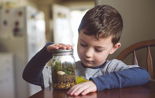 Foto - Çocuğunuz için eğlenceli bir fikir! 'Teraryum yapımı'