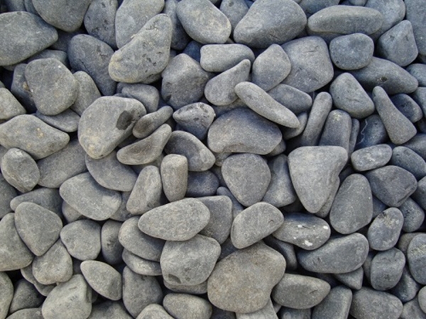 Foto - Çocuğunuz için eğlenceli bir fikir! 'Teraryum yapımı'