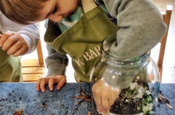 Foto - Çocuğunuz için eğlenceli bir fikir! 'Teraryum yapımı'