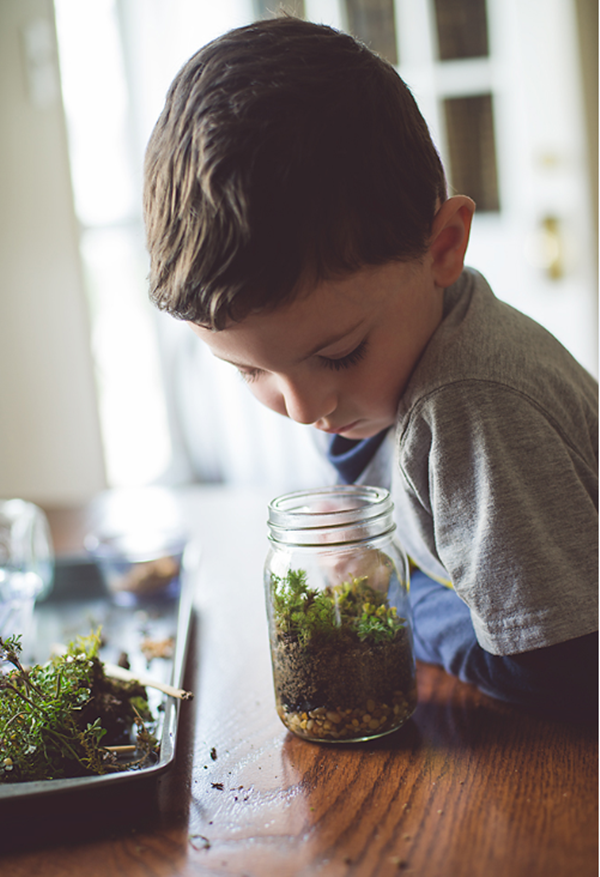 Foto - Çocuğunuz için eğlenceli bir fikir! 'Teraryum yapımı'