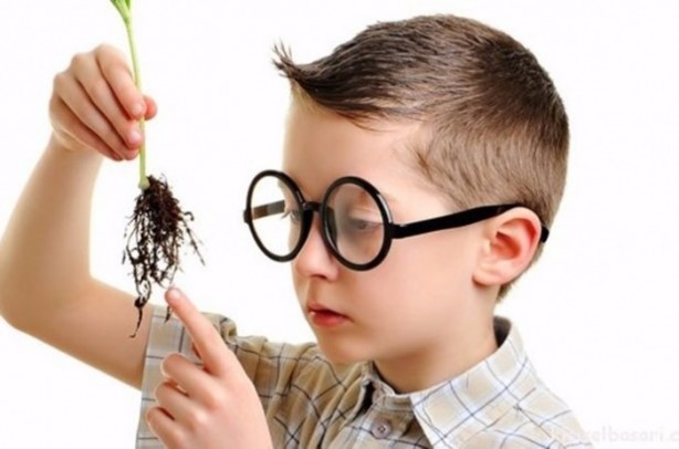 Foto - Çocuğunuzun zeka gelişimi için bunlara dikkat edin!