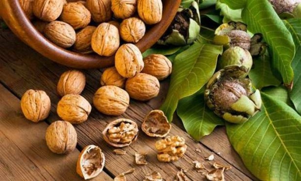 Foto - Çocuk beslenmesinde en çok yapılan 10 hata!