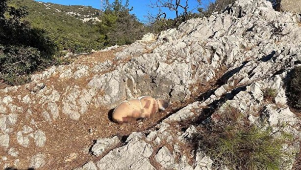 Çocuk cesedi sanılmıştı! Kanlı paketten vahşet çıktı