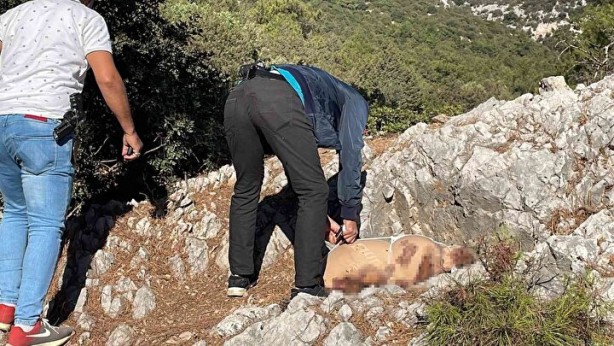 Foto - Çocuk cesedi sanılmıştı! Kanlı paketten vahşet çıktı