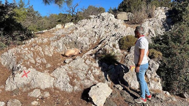 Foto - Çocuk cesedi sanılmıştı! Kanlı paketten vahşet çıktı