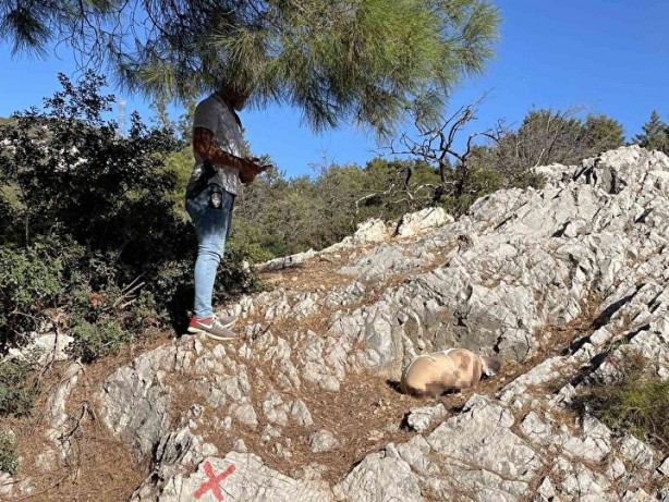 Foto - Çocuk cesedi sanılmıştı! Kanlı paketten vahşet çıktı