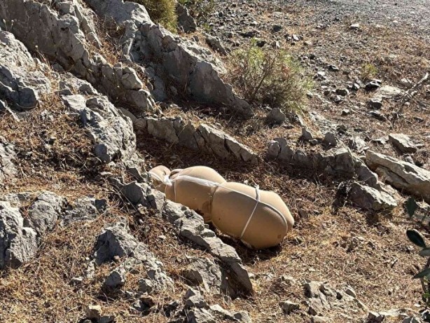 Foto - Çocuk cesedi sanılmıştı! Kanlı paketten vahşet çıktı