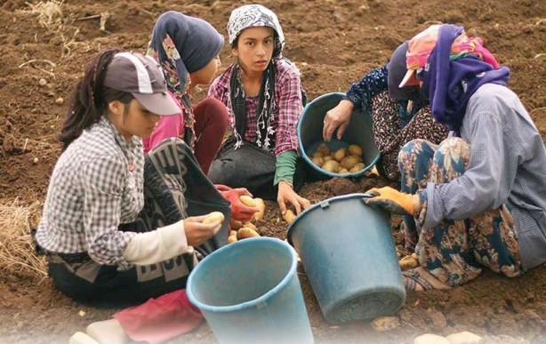 Foto - Çocuk işçiliğiyle mücadelede yeni dönem!