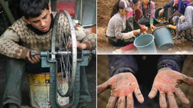 Foto - Çocuk işçiliğiyle mücadelede yeni dönem!