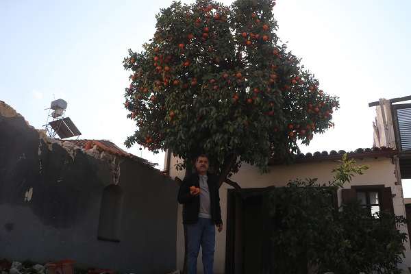 Foto - Çocuk sesleri sustu... Meyveler dallarda kaldı