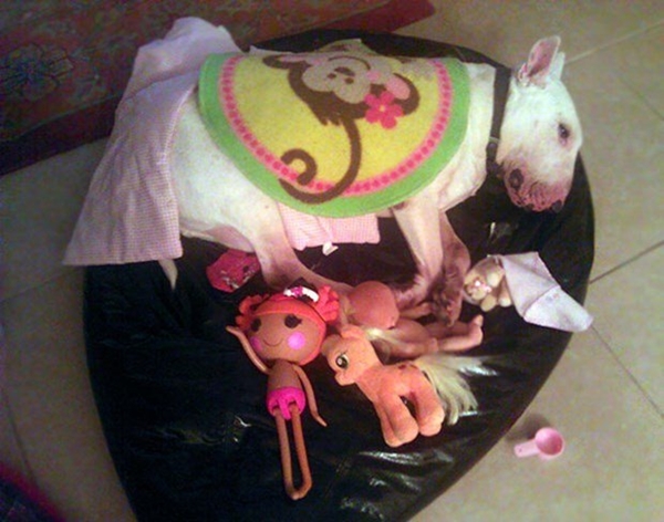 Foto - Çocuklar evcil hayvanlarla baş başa kalırsa...