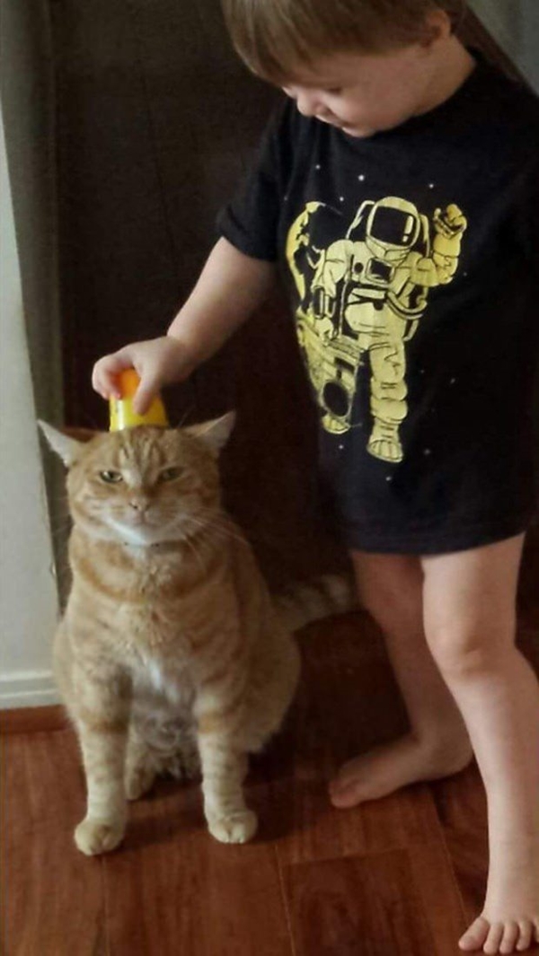 Foto - Çocuklar evcil hayvanlarla baş başa kalırsa...