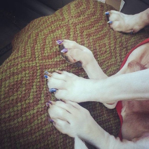 Foto - Çocuklar evcil hayvanlarla baş başa kalırsa...