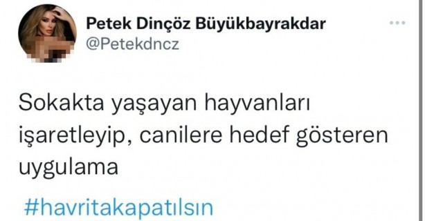 Foto - İşte köpek duyarı kasanların ikiyüzlülüğü! Çocuklar ölürken değil uyurken sessiz olunur!