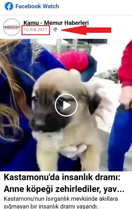 Foto - İşte köpek duyarı kasanların ikiyüzlülüğü! Çocuklar ölürken değil uyurken sessiz olunur!