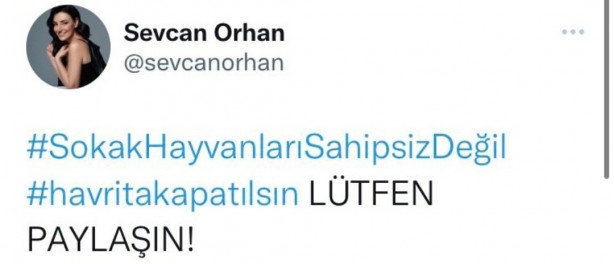 Foto - İşte köpek duyarı kasanların ikiyüzlülüğü! Çocuklar ölürken değil uyurken sessiz olunur!