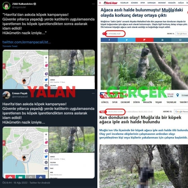 Foto - İşte köpek duyarı kasanların ikiyüzlülüğü! Çocuklar ölürken değil uyurken sessiz olunur!