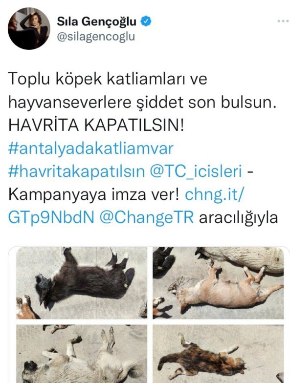 Foto - İşte köpek duyarı kasanların ikiyüzlülüğü! Çocuklar ölürken değil uyurken sessiz olunur!