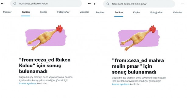 Foto - İşte köpek duyarı kasanların ikiyüzlülüğü! Çocuklar ölürken değil uyurken sessiz olunur!